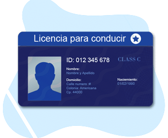 Licencias de conducir